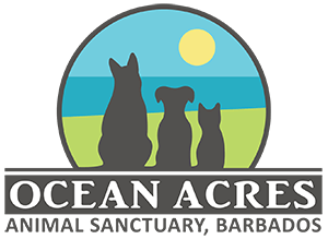ocean acres animal- anctuary logo