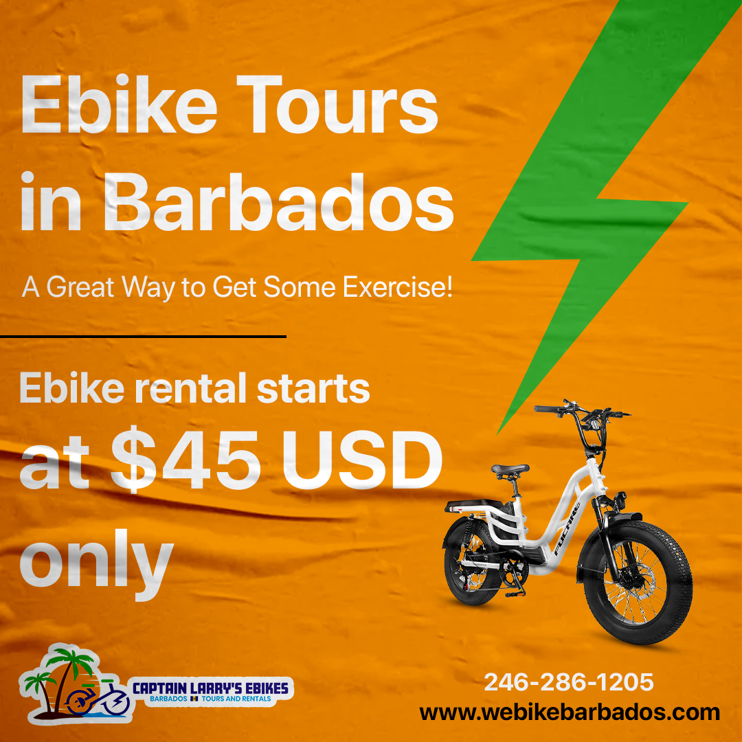 Reasons Why an E-Bike Tour is a Must-Have for Exploring Barbados