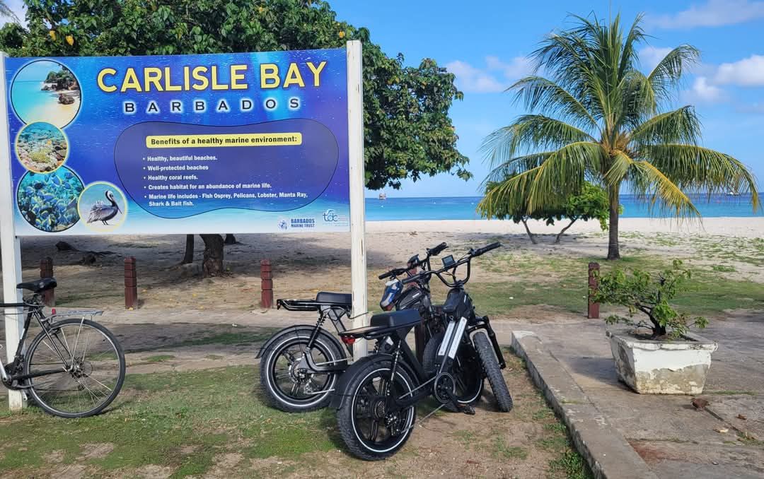 Discover the Joy of Ebike Tours in Barbados
