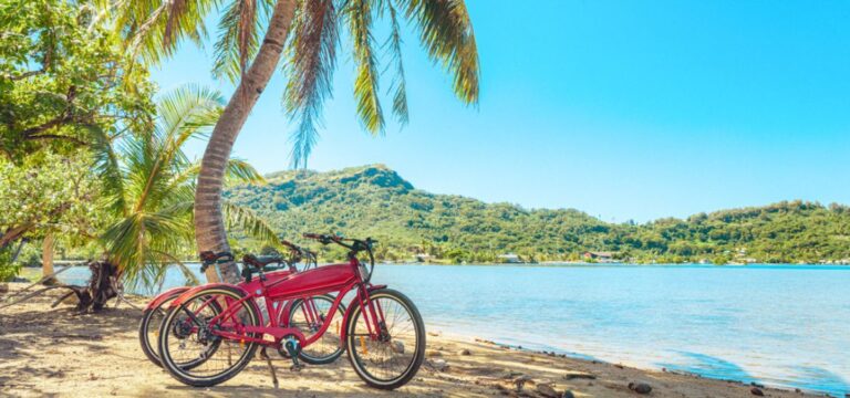 Hidden Gems You Can Only Find on an Ebike Tours Barbados