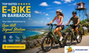 Top rated ebike in Barbados